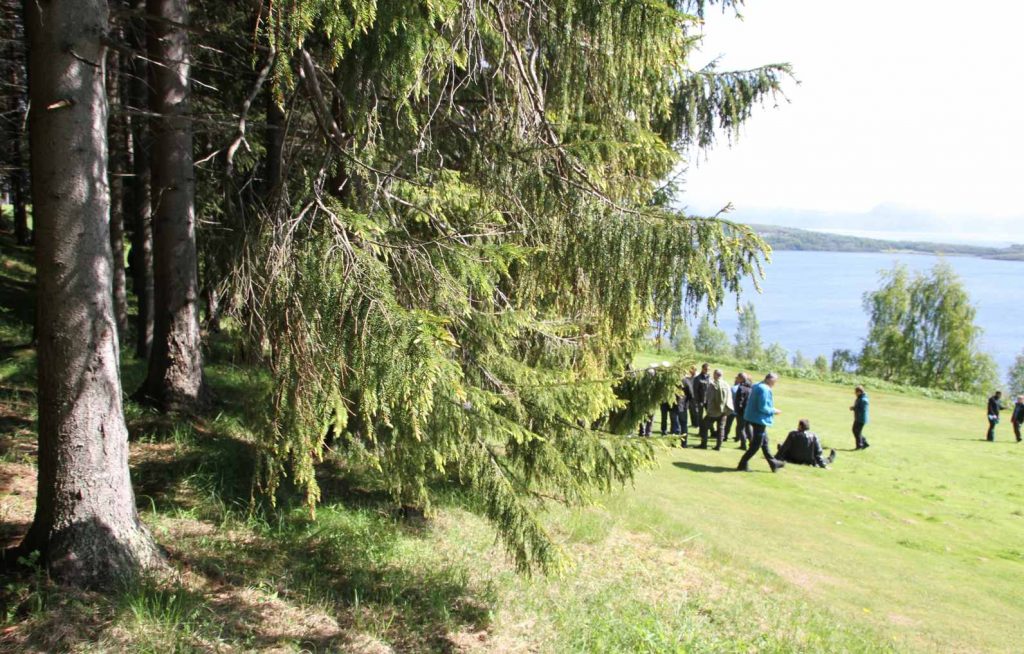 Kystskogbruket og Norsk Skogbruk samarbeider om å spre mer informasjon om skogbruk langs kysten. (Illustrasjonsfoto).