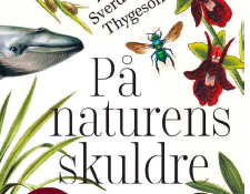 På naturens skuldre av Anne Sverdrup-Thygeson