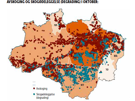 Avskoging i Amazonas i Oktober 2020.